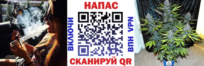 Бошки марихуана конопля Купить Владимир